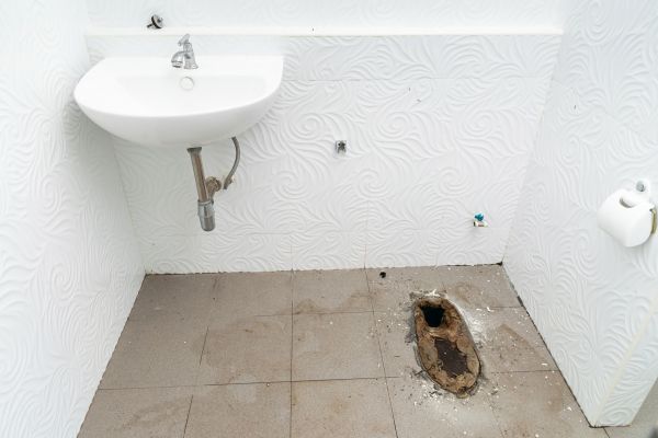 Toilet Disposal in Ballwin